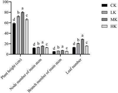 Potassium fertilizer promotes the thin-shelled Tartary buckwheat yield by delaying senescence and promoting grain filling